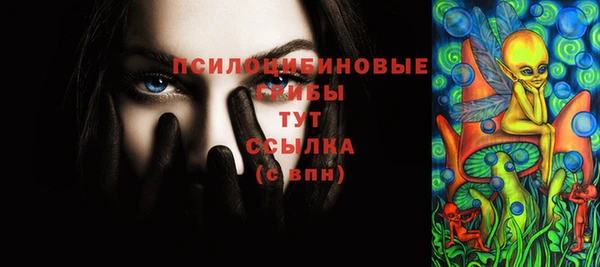 сатива Богородицк