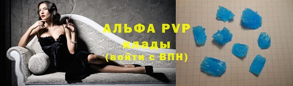 сатива Богородицк