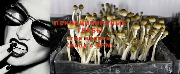 бошки Богородск