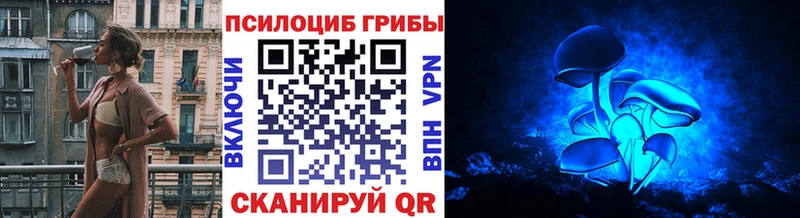 купить  цена  Мариинский Посад  Галлюциногенные грибы мицелий 